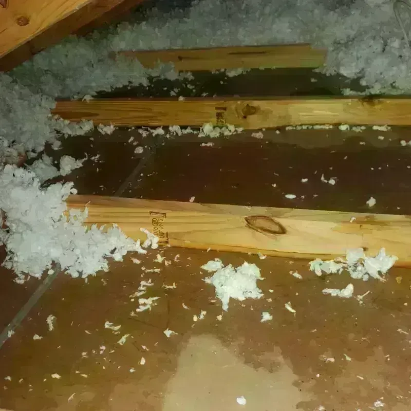 Attic Water Damage in Weatherly, PA