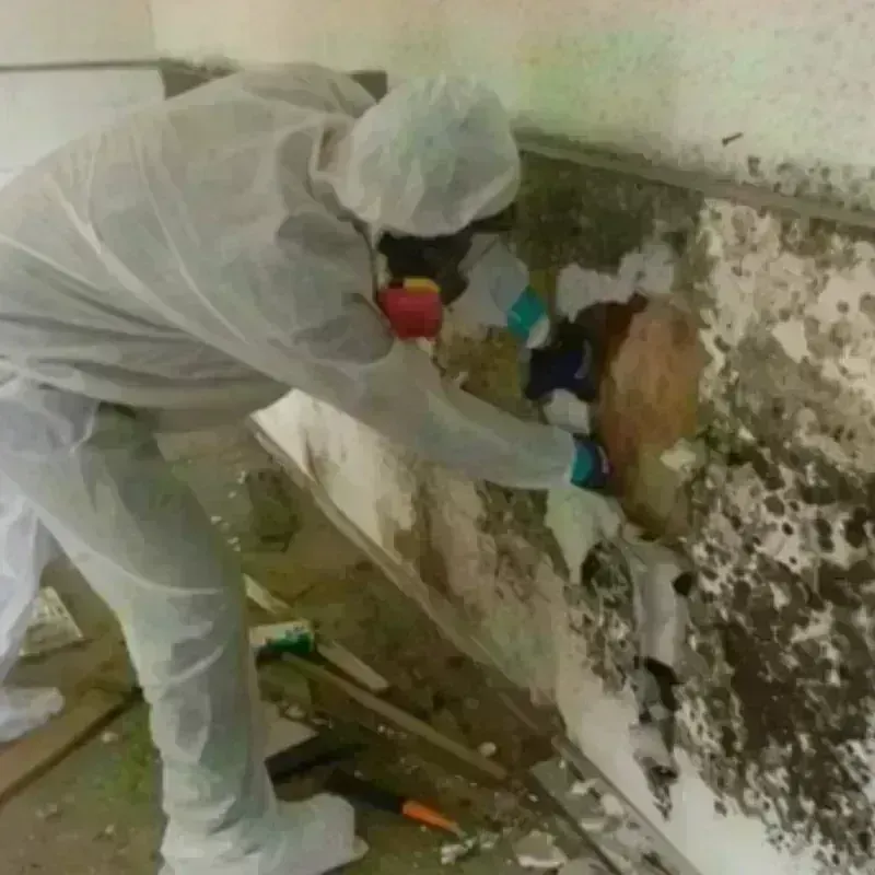 Mold Remediation and Removal in Weatherly, PA